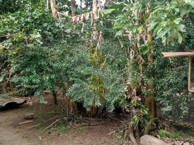 #90 - Casa para Venda em Bertioga - SP